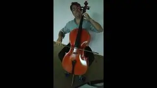 Marco Casonato - Violoncello