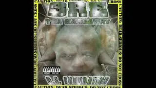3re Tha Hardaway &ndash; D.S. Foundation [2001] - Miami, FL (FULL ALBUM)