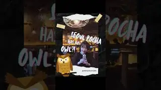 Seoul's Hottest Pocha Be Like🦉