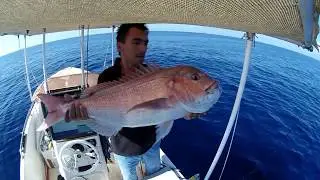 No.1 Pink Snapper on inchiku