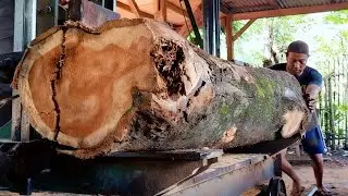 The process and beauty of teak wood being sawn in the largest wood factory