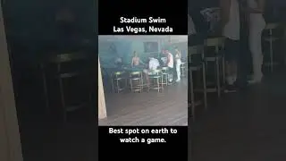 Stadium Swim Review Las Vegas Nevada #shorts
