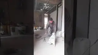 убийство бродячей кошки