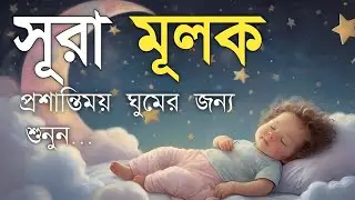 ঘুমানোর আগে এই তেলাওয়াত শুনুন সূরা আল মূলক খুব সুন্দর তেলাওয়াত | Surah Mulk Bangla - Shamsul Haque