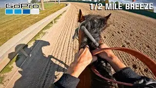 Working a Racehorse 1/2 Mile | Prairie Meadows Training POV
