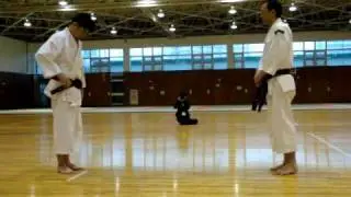 Shorinji Kempo Demonstration