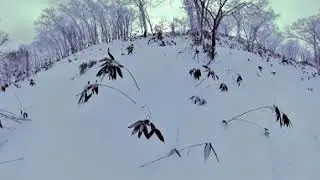 20250121 루스츠 5일차 No.1