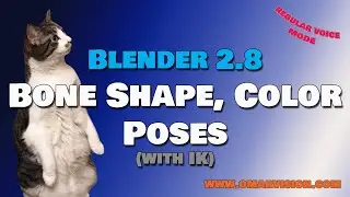 Bone Shape, Color, Poses with IK in Blender 2.8
