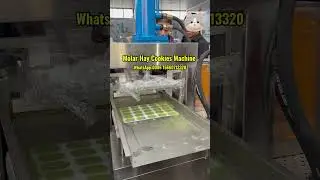 Pet Molar Hay Grass Cookies Machine | Timothy Hay Biscuits Machine