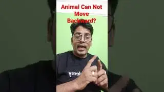 #Fact 89 name the animal which cannot go back ward