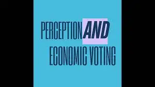 Perception and Economic Voting