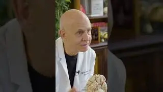 Jordan Younger Views Her Brain Scan | Dr. Daniel Amen