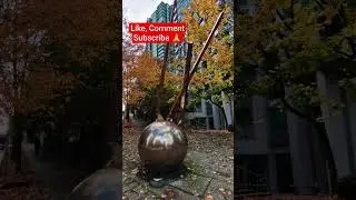 Vancouver Autumn Vibes 🍁