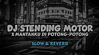 DJ Stending Motor X Mantanku Di Potong-Potong X Balonte Viral Fyp Tiktok
