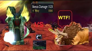 Shockadin vs Feral druid (results may surprise u)