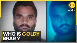 Canada Dropped Gangster Goldy Brar's Name: Envoy | World News | Latest English News | WION