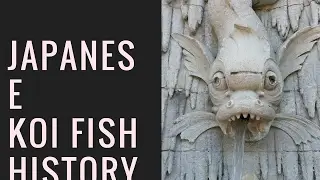 japanese koi fish history