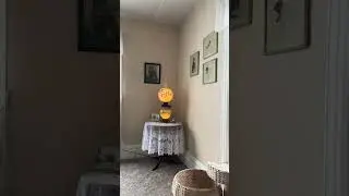 デール発見！💕