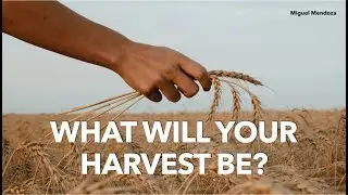 What will your harvest be?