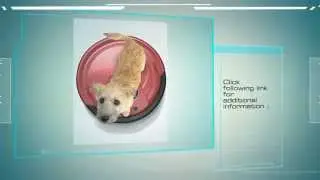 Bobi Robotic Vacuum