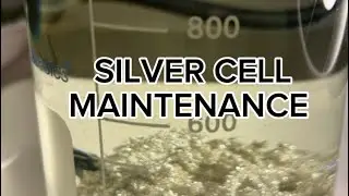 Silver Cell Maintenance  #silver 