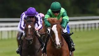 BENEVENUTO CELLINI looks exciting for Ballydoyle | Racing TV