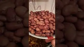 Esil eriṣde havası kim sevir