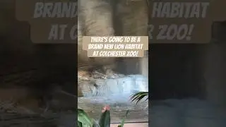 Colchester Zoo are building a really cool new Habitat!