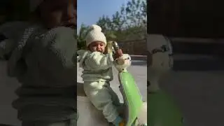 #shorts #shortvideo #short #toys #toykidunia