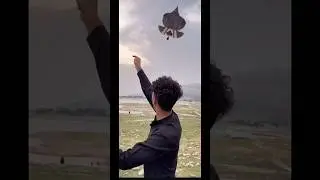 #basant #2025 #kiteflying #youtubeshorts #shorts #kite #viralvideo #viralshorts