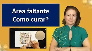 Área Faltante Como Curar? E mais: onde colocar cactos e suculentas.