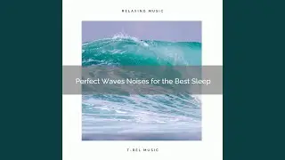 Try the Perfect Ocean and Relax with Nature Songs