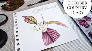 October Country Diary Update | Fall Nature Journal