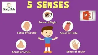 Human Sense Organs /ppt #techstudyhub0.1 /Easy and effective learning