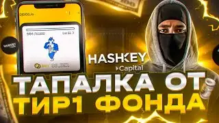 DejenDog раздаст больше Hamster Kombat!? ДРОП ПОДТВЕРЖДЁН!