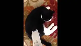Dustbusting Tux