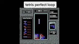 Satisfying Tetris perfect loop
