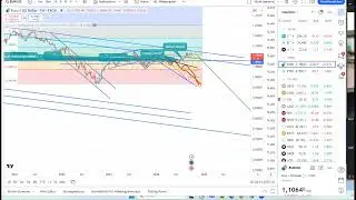 Umfrage der Teilnehmer in meinem Tradingkurs wieviel haben Gewinne #success #money  #trading