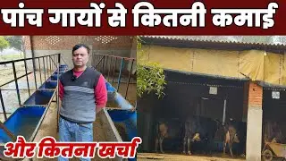 लाखों की नौकरी छोड़ कर रहे डेरी फार्म अरुण पांडेय प्रयागराज #bistara