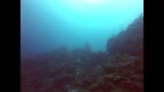 First GoPro Hero3 Dive - video 3