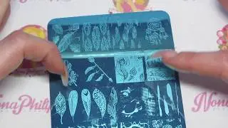 Dixie Plates DP11 & Summer 01 Stamping Plates Review & Swatches