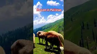 Swat Valley & Kumrat Valley | Nature Treasures in Pakistan | #shorts #kumratvalley #swat