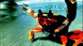 The Prodigy - Climbatize