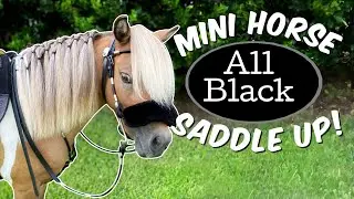 ALL Black 🖤 Tack Mini Horse Saddle Up! Pippa
