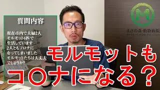 【質問コーナー】獣医師がペットの質問にまた答えます！③
