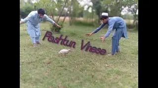 Pashtun PUBG lovers can do anything for this game.