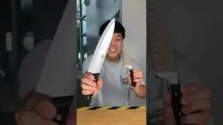 Testing Cheap vs. Expensive Kitchen Knife!