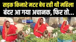Bihar में सड़क किनारे सब्जी बेच रही थी महिला,बंदर आ गया अचानक, फिर तो... Bihar News | News4Nation