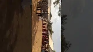Bimoba dance