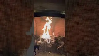 Anyone Ever Seen The Spooky Face In The Fireplace At Disney&rsquo;s Wilderness Lodge? #disney #shorts